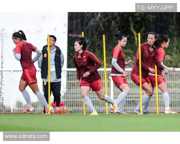 中国女足精彩对决南非队比赛回放全程回顾与精彩瞬间分析