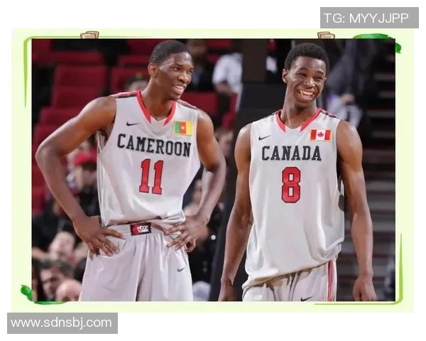 乔尔恩比德的篮球之路与未来展望解析