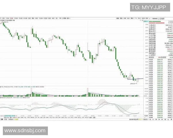 亚特兰大与达拉斯精彩对决直播全程回顾与分析 亚特兰大与达拉斯精彩对决直播全程回顾与分析