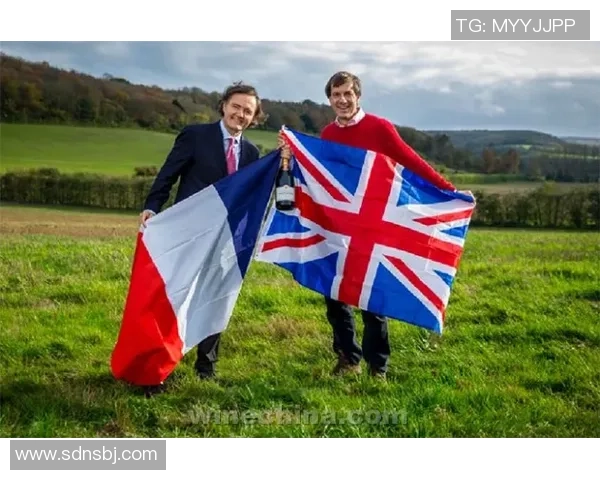 俄罗斯与英格兰国歌的对比与文化解读之旅