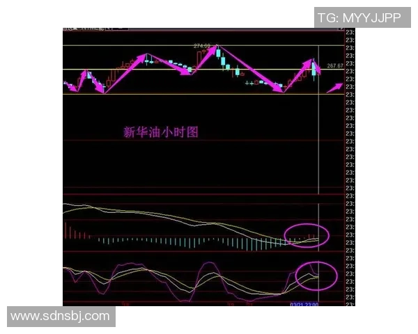 沙特与日本精彩对决视频录像回顾分析与精彩瞬间集锦