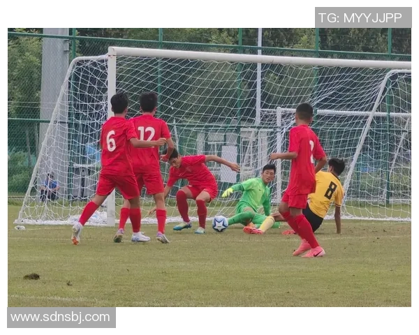 成都足球队在城市联赛中的节奏表现分析与评价MBA