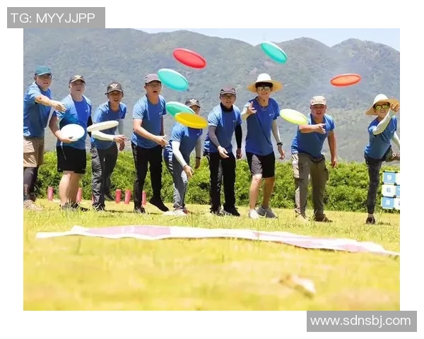 飞盘战术解析:西安飞盘队高效反击体系的构建与应用MBA