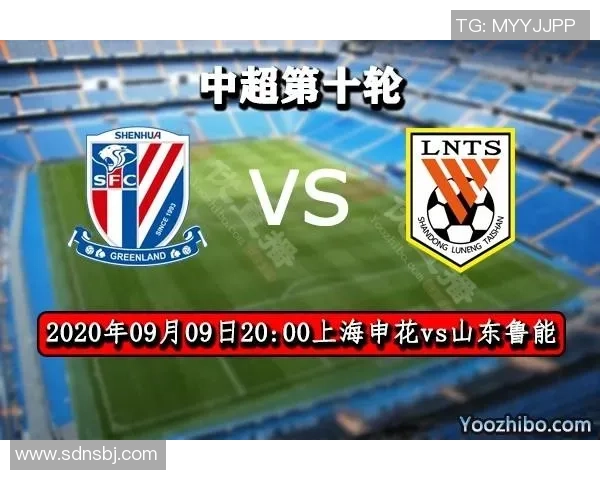 2013年上海申花与山东鲁能精彩对决回顾及赛季影响分析 2013年上海申花与山东鲁能精彩对决回顾及赛季影响分析