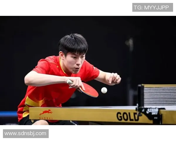 上海乒乓球队在大师赛中的耐力表现分析与精彩瞬间回顾