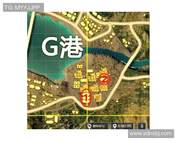 和平精英巨献：深入解析TES战术布局与团队协作策略MBA