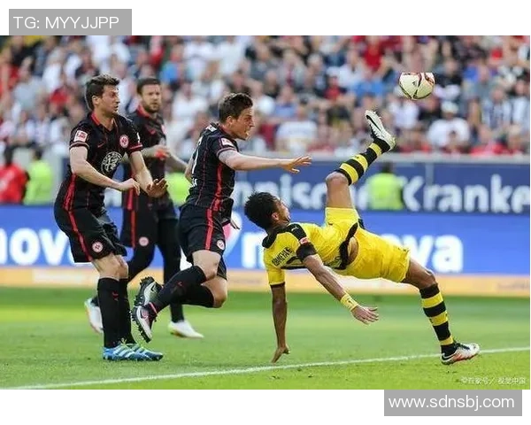 意甲激战帕尔马迎战莱切双方争夺关键三分精彩对决即将上演