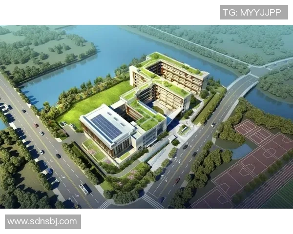 杭州羽毛球队转型之路揭秘：从传统强队到现代化竞技新标杆