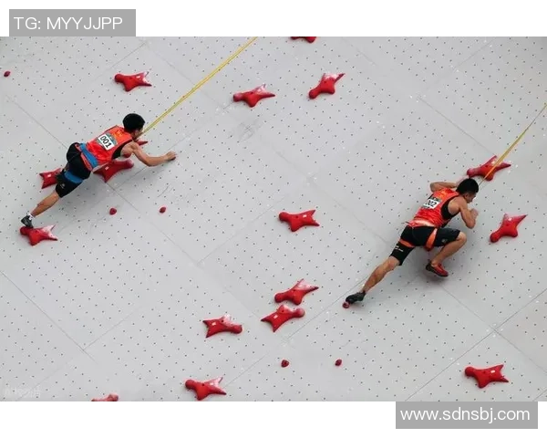 武汉极限运动队实力强劲荣登全国力量排行榜第三名