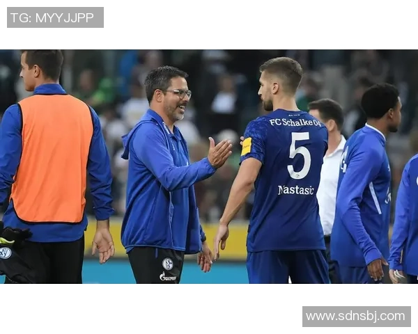 波鸿迎战柏林联合前瞻分析双方实力对比与赛季走势解读