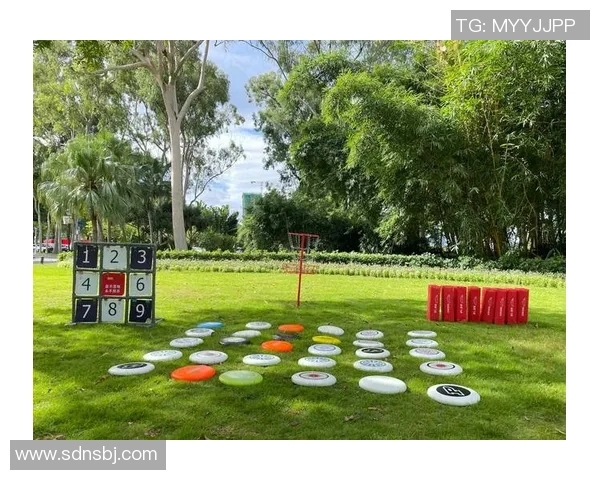 飞盘逆袭：重庆飞盘队的奋斗与荣耀之路全景记录