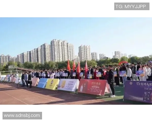 深圳飞盘队反击战分析：胜负背后的战术与团队协作探讨